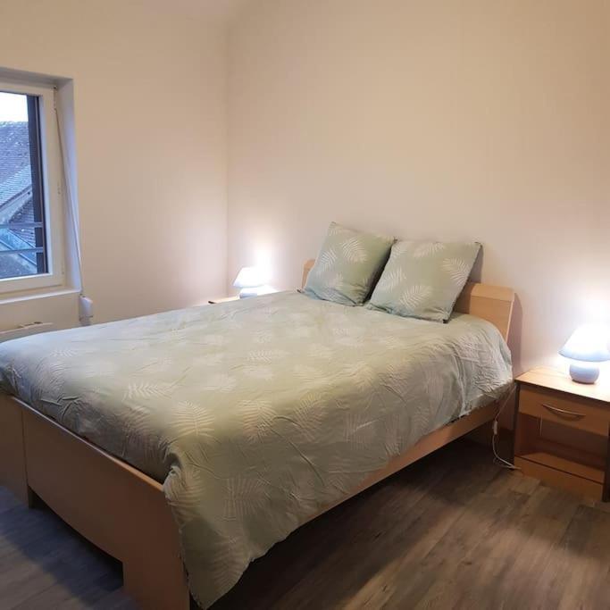 Willa Chez Nino Wifi Gratuit Beaulieu-sur-Loire Zewnętrze zdjęcie
