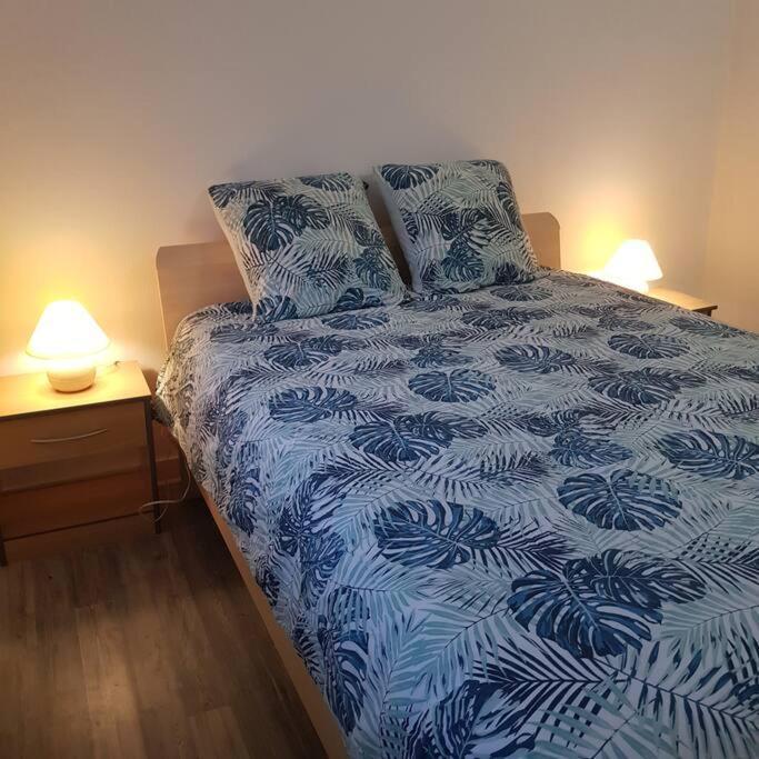 Willa Chez Nino Wifi Gratuit Beaulieu-sur-Loire Zewnętrze zdjęcie